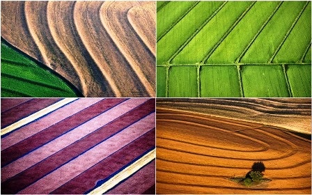 Vẻ đẹp của những cánh đồng nhìn từ trên cao